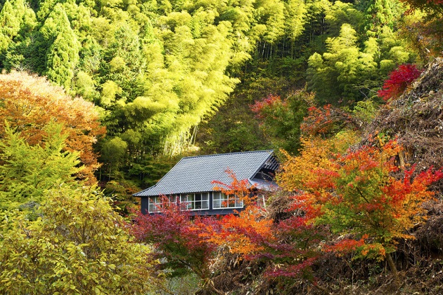 郷緑温泉 郷緑館